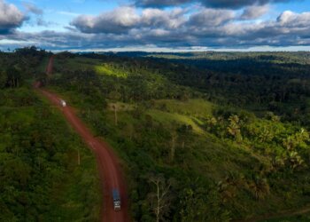 Aerial view of the Trans-Amazonian Highway surrounded by dense forest in Brazil.