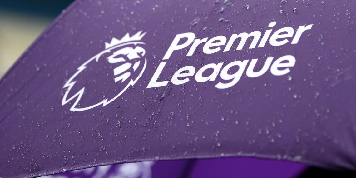 Purple umbrella featuring the Premier League logo with a lion and text.